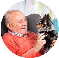 Pet Care & Food Assistance