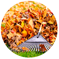 Yard Clean Ups - Addison