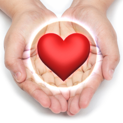 Donate to Pet Care